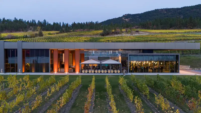 The winery lit up at dusk above the vines